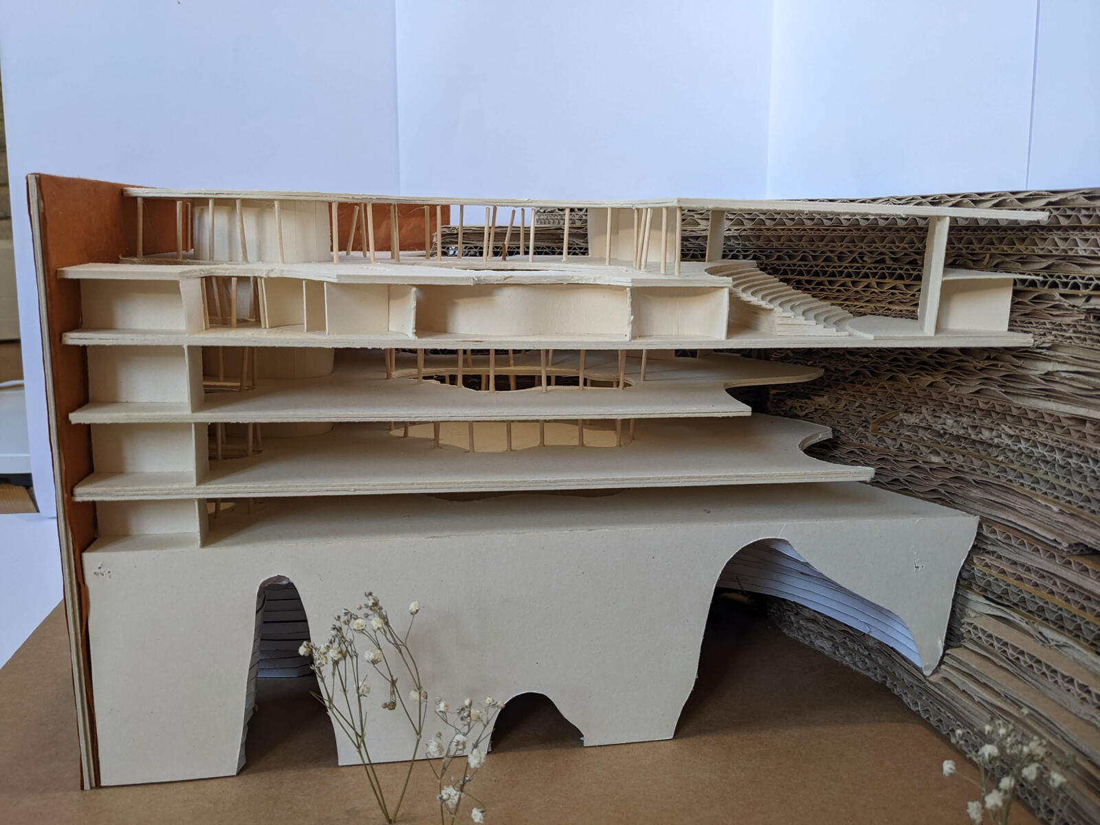 MODEL SECTION