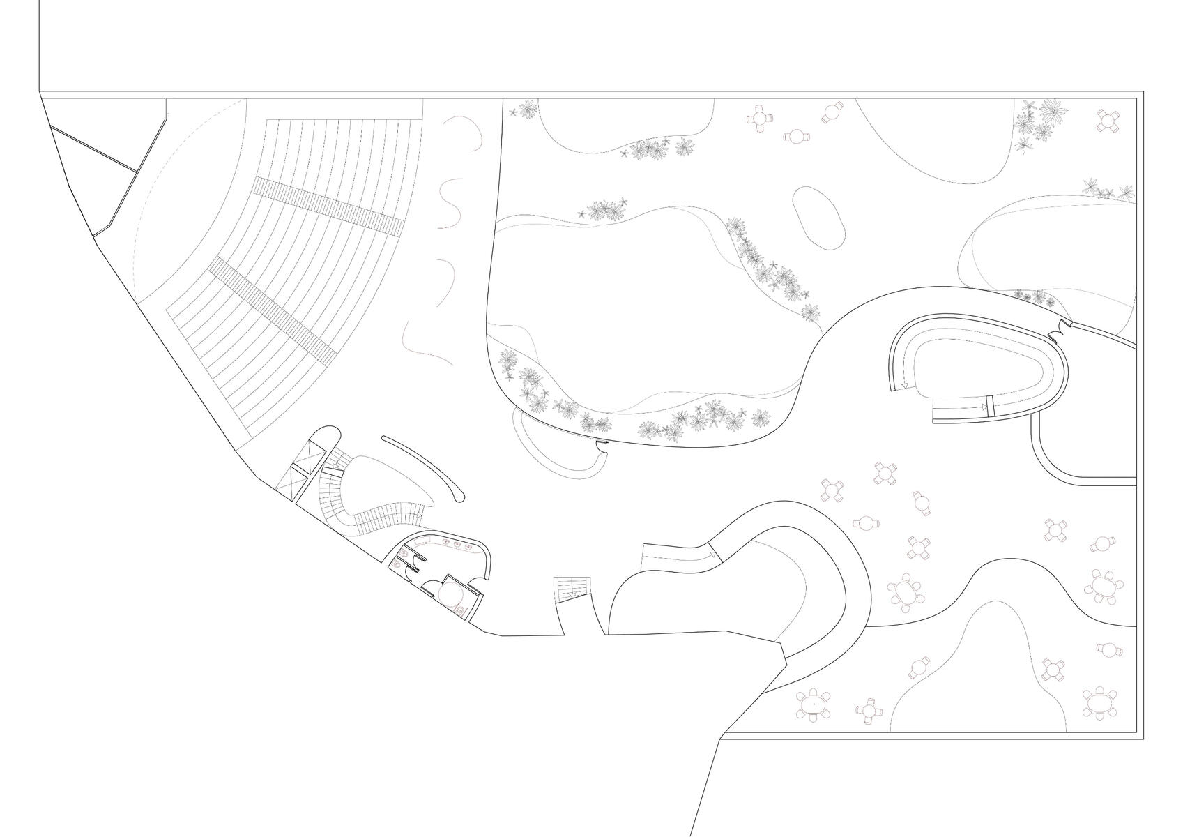 LEVEL 5